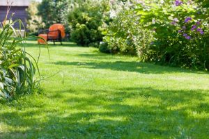 travaux jardin et paysage Carnas